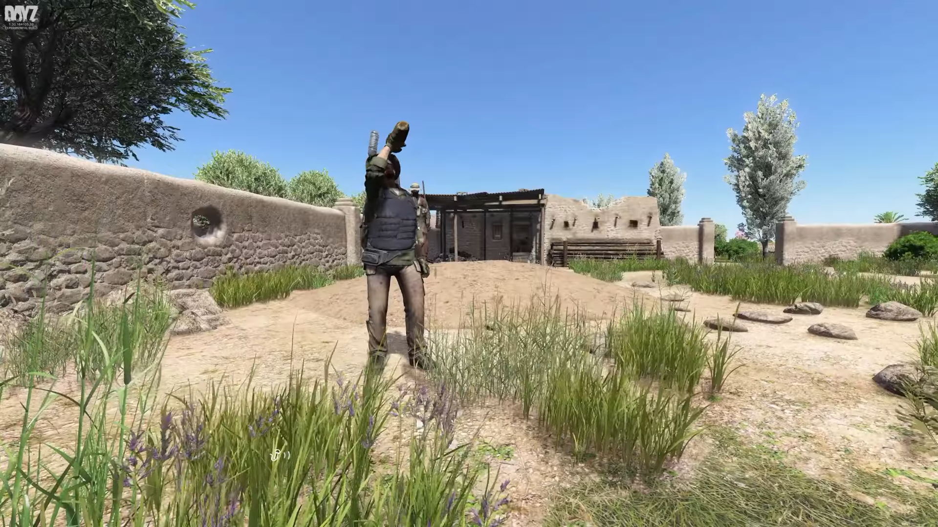 DayZ New Toys: Consumables and Survival Gear